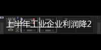 上半年工業企業利潤降2.2% 國企降近11%