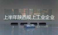 上半年陜西規(guī)上工業(yè)企業(yè)利潤(rùn)總額同比增長(zhǎng)31% 居全國(guó)第8位