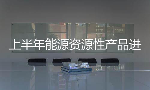 上半年能源資源性產品進口增長