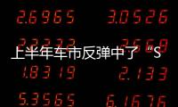 上半年車市反彈中了“SUV毒”