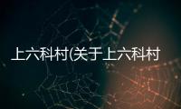 上六科村(關于上六科村簡述)