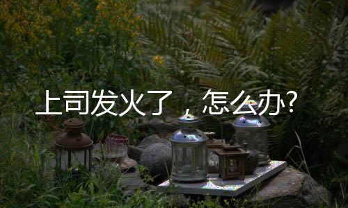 上司發火了，怎么辦?
