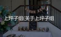 上坪子組(關于上坪子組簡述)