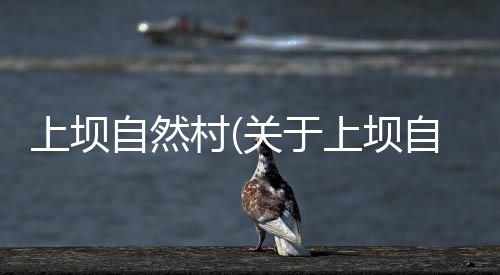 上壩自然村(關(guān)于上壩自然村簡(jiǎn)述)
