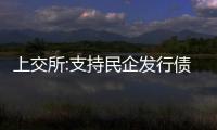上交所:支持民企發行債券,今年以來實現房地產融資1975億