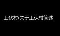 上伏村(關(guān)于上伏村簡述)