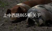 上中西路865號(關于上中西路865號簡述)