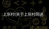 上東村(關于上東村簡述)