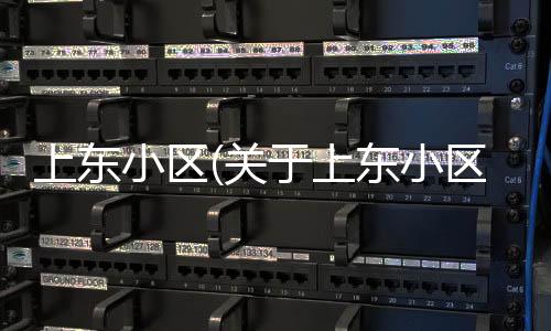 上東小區(關于上東小區簡述)