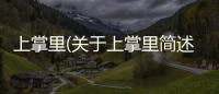 上掌里(關(guān)于上掌里簡(jiǎn)述)