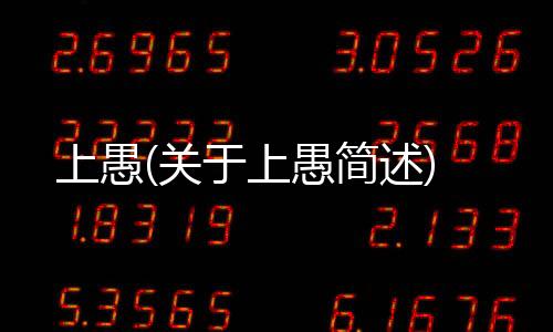 上愚(關于上愚簡述)