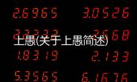 上愚(關于上愚簡述)