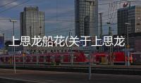 上思龍船花(關于上思龍船花簡述)