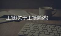 上挺(關于上挺簡述)