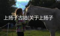 上揚子古陸(關于上揚子古陸簡述)