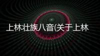 上林壯族八音(關于上林壯族八音簡述)