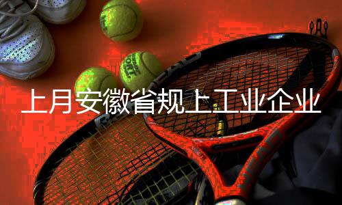 上月安徽省規上工業企業利潤增長提速