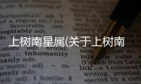 上樹南星屬(關于上樹南星屬簡述)