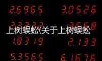 上樹蜈蚣(關于上樹蜈蚣簡述)