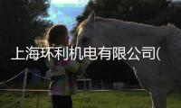 上海環利機電有限公司(關于上海環利機電有限公司簡述)