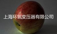 上海環氧變壓器有限公司(關于上海環氧變壓器有限公司簡述)