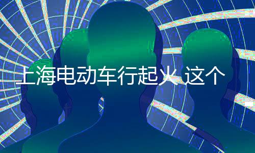 上海電動車行起火 這個起火原因真是醉了