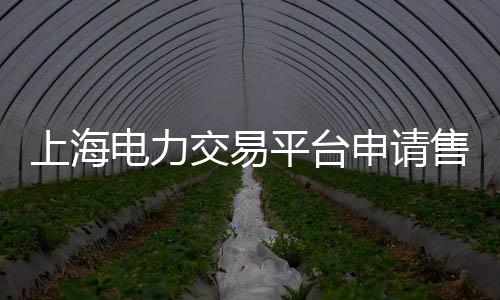 上海電力交易平臺申請售電公司公示條件