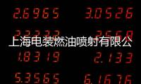 上海電裝燃油噴射有限公司(關于上海電裝燃油噴射有限公司簡述)