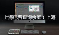 上海電費(fèi)查詢余額（上海電費(fèi)查詢）