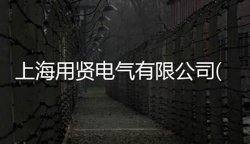 上海用賢電氣有限公司(關于上海用賢電氣有限公司簡述)