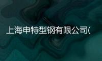 上海申特型鋼有限公司(關于上海申特型鋼有限公司簡述)