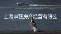 上海申毯房產經營有限公司(關于上海申毯房產經營有限公司簡述)