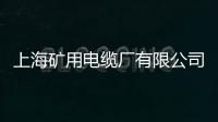 上海礦用電纜廠有限公司(關(guān)于上海礦用電纜廠有限公司簡(jiǎn)述)