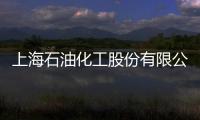 上海石油化工股份有限公司在線色譜儀中標結果公告