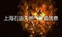 上海石油天然氣管道信息系統(tǒng)(關(guān)于上海石油天然氣管道信息系統(tǒng)簡(jiǎn)述)