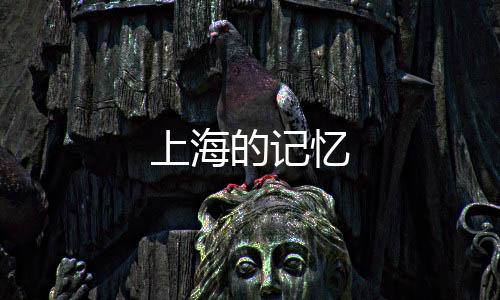 上海的記憶