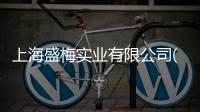 上海盛梅實業有限公司(關于上海盛梅實業有限公司簡述)