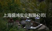 上海盛鴻實業有限公司(關于上海盛鴻實業有限公司簡述)