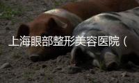 上海眼部整形美容醫院（上海眼部整形醫院）