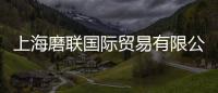上海磨聯國際貿易有限公司(關于上海磨聯國際貿易有限公司簡述)