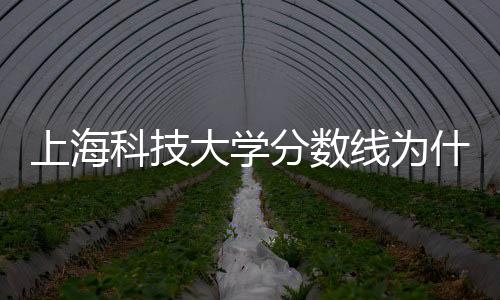 上海科技大學(xué)分?jǐn)?shù)線為什么這么高（上海科技大學(xué)分?jǐn)?shù)線）