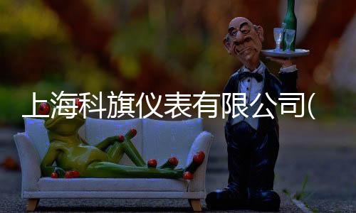 上海科旗儀表有限公司(關(guān)于上海科旗儀表有限公司簡述)