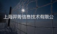 上海羿菁信息技術(shù)有限公司(關(guān)于上海羿菁信息技術(shù)有限公司簡(jiǎn)述)