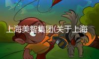 上海美智集團(tuán)(關(guān)于上海美智集團(tuán)簡(jiǎn)述)