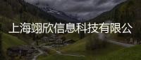 上海翊欣信息科技有限公司(關(guān)于上海翊欣信息科技有限公司簡述)
