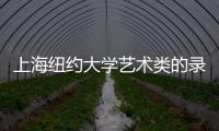 上海紐約大學(xué)藝術(shù)類的錄取條件？ 上海紐約大學(xué)4+0國際本科