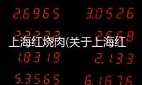 上海紅燒肉(關于上海紅燒肉簡述)