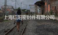 上海紅陽密封件有限公司(關于上海紅陽密封件有限公司簡述)