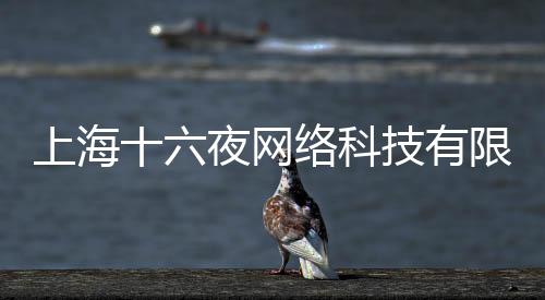 上海十六夜網(wǎng)絡(luò)科技有限公司(關(guān)于上海十六夜網(wǎng)絡(luò)科技有限公司簡述)