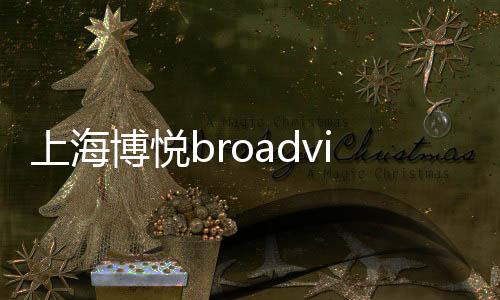 上海博悅broadvi(關(guān)于上海博悅broadvi簡述)